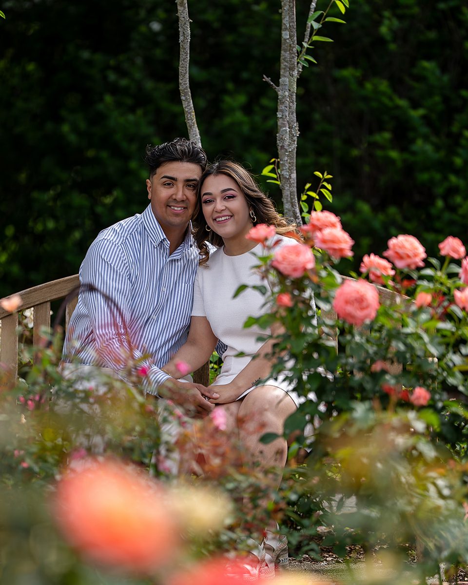 Engaged couple among the roses at Memphis Botanic Garden
